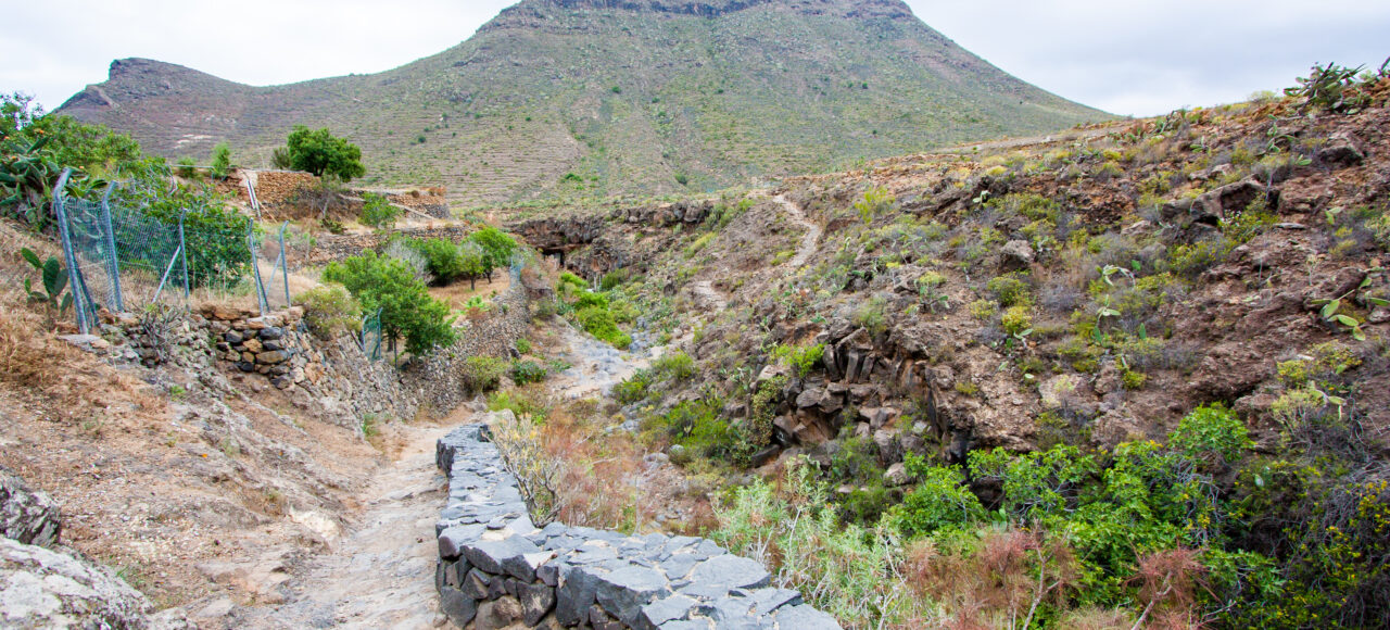 roque del conde arona tenerife
