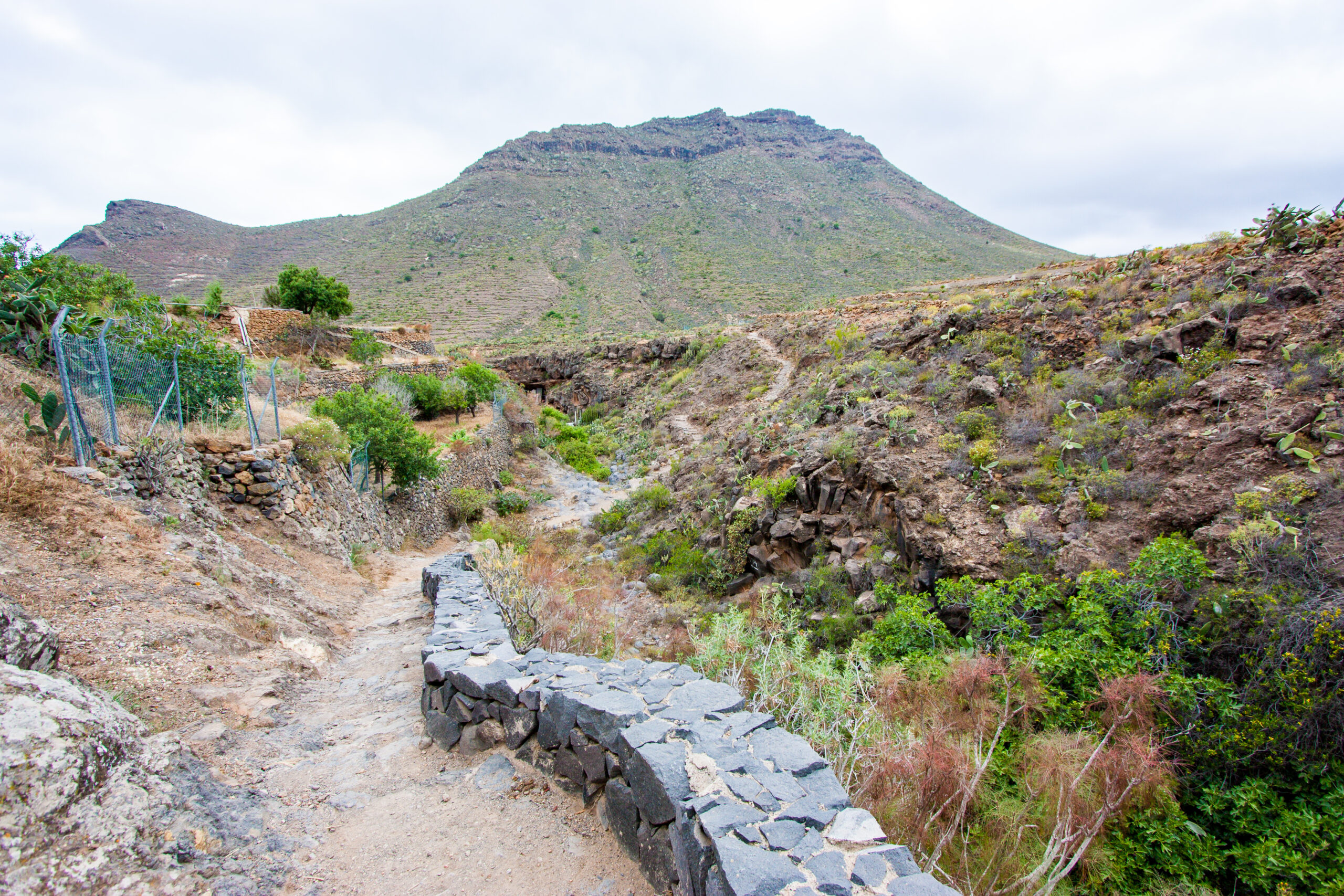 roque del conde arona tenerife