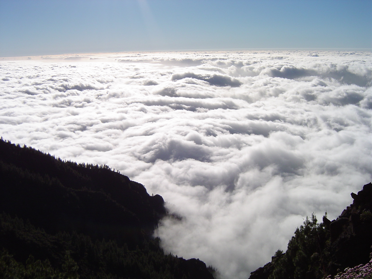 The Sea of Clouds in Tenerife
